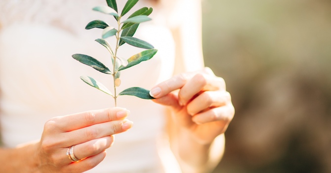 Why Driving Anxiety After an Accident Isn’t Just Fear — It Might Be Trauma