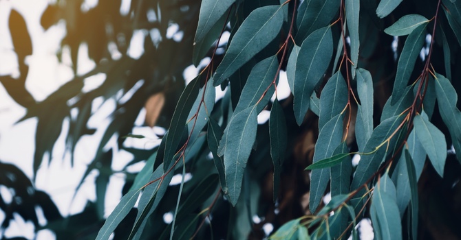 Why Driving Anxiety After an Accident Isn’t Just Fear — It Might Be Trauma