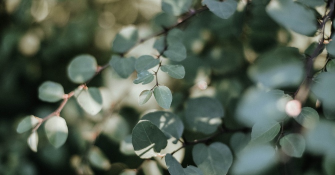 Why Driving Anxiety After an Accident Isn’t Just Fear — It Might Be Trauma