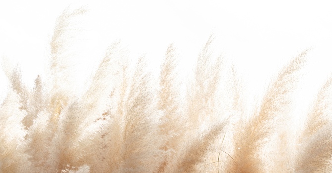 Why Driving Anxiety After an Accident Isn’t Just Fear — It Might Be Trauma