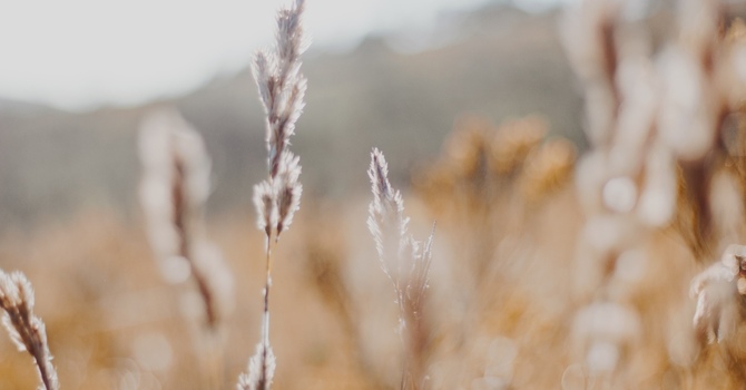 Why Driving Anxiety After an Accident Isn’t Just Fear — It Might Be Trauma